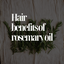 Hair Benefits Of Rosemary Oil