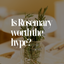 Is Rosemary Worth The Hype?
