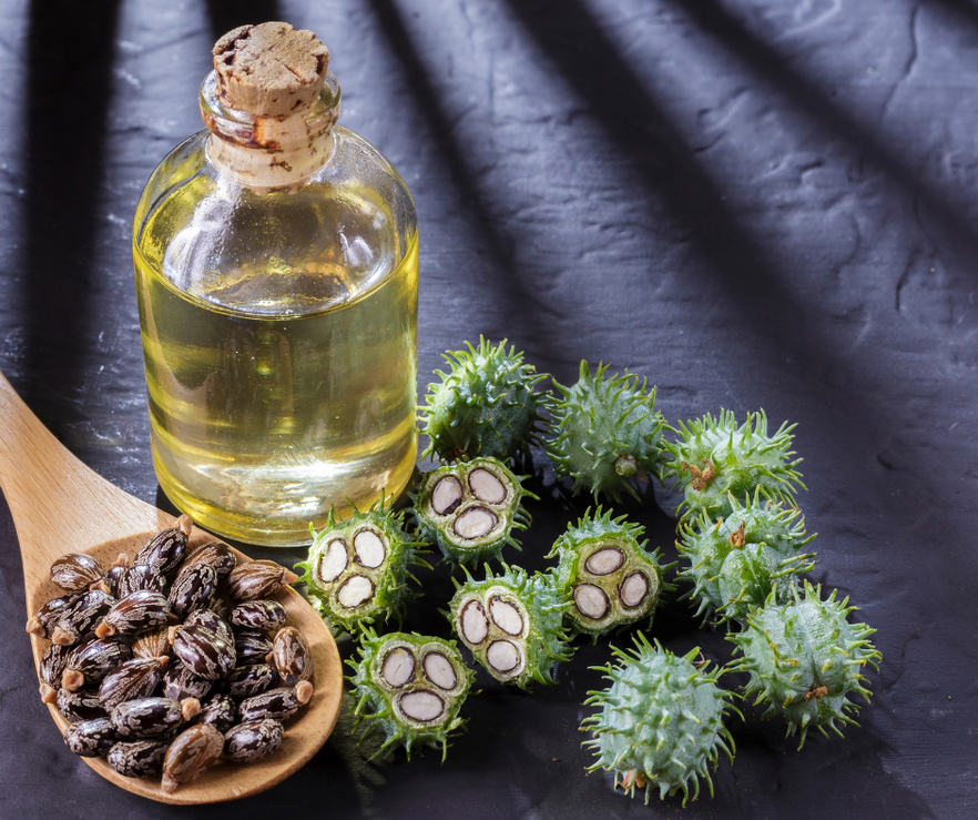 Castor Oil for Hair: Your Complete Guide