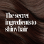 The secret ingredient(s) to shiny hair