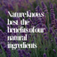 Nature Knows Best – The Benefits of Our Natural Ingredients