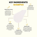 shampoo-to-increase-hair-growth