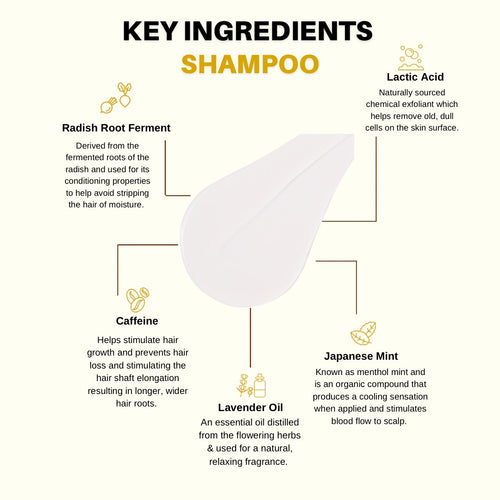 Shampoo